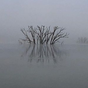 Meet your Posher, Bridget